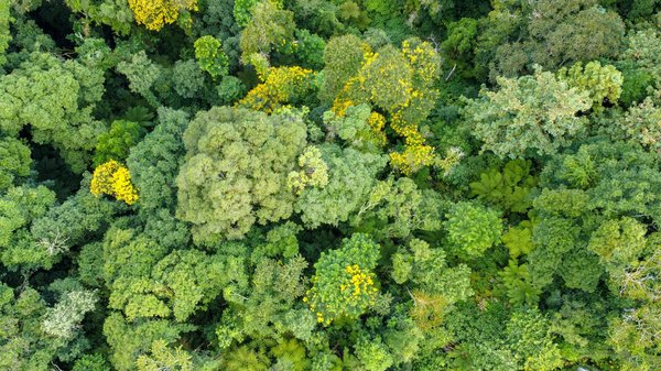 Explorez les plaisirs infinis du gode ventouse !